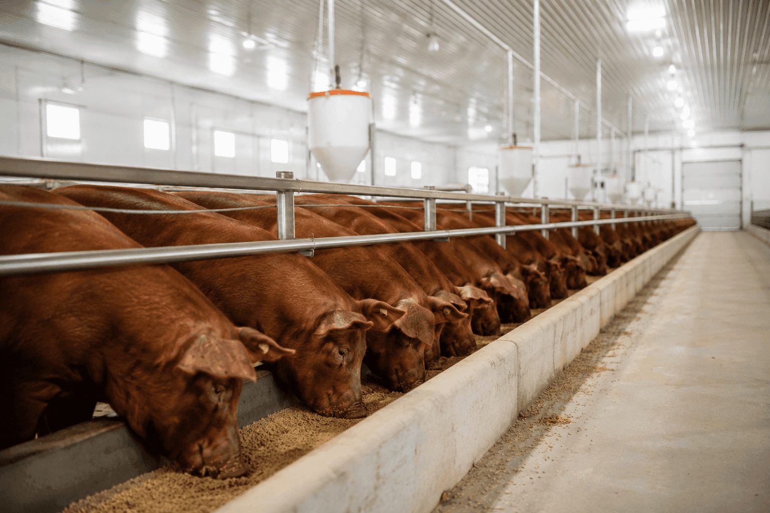 Nutrição e Manejo